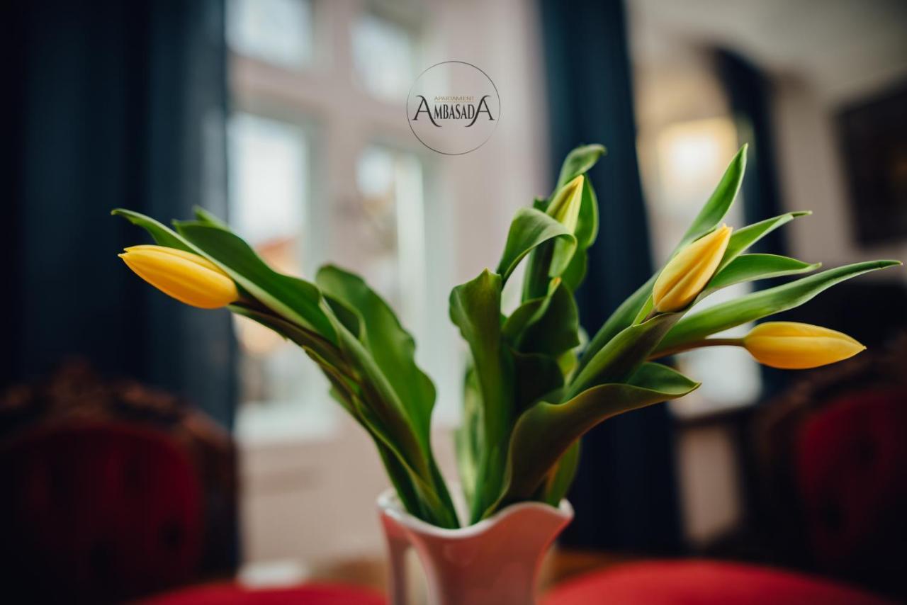 Apartament Ambasada Zamość 외부 사진