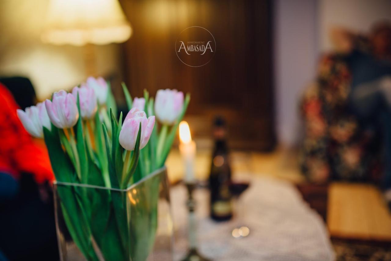 Apartament Ambasada Zamość 외부 사진